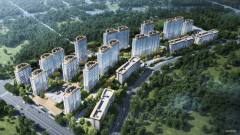 刚需和通俗改善承受